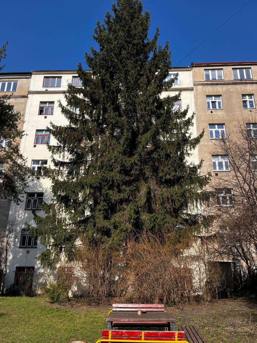 Prodej bytu 2+kk 51 m², Biskupcova, Praha, Praha Prodej bytu 2+kk 51 m², Biskupcova, Praha, Praha