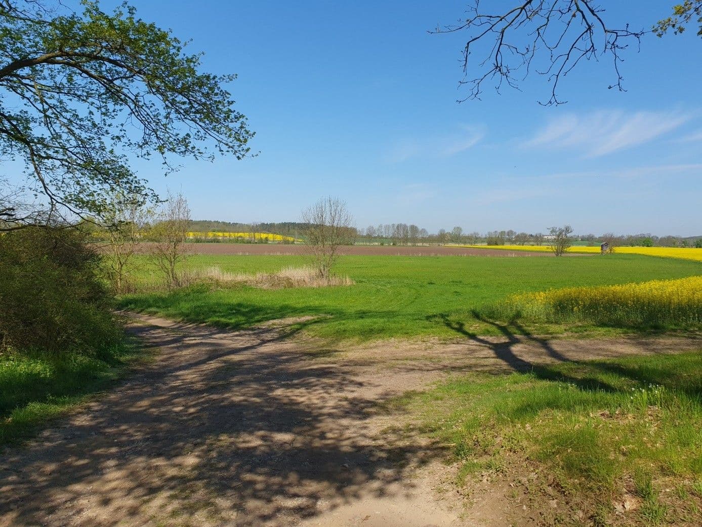 Prodej pozemku 5.702 m², Mlékosrby, Královéhradecký kraj Prodej pozemku 5.702 m², Mlékosrby, Královéhradecký kraj