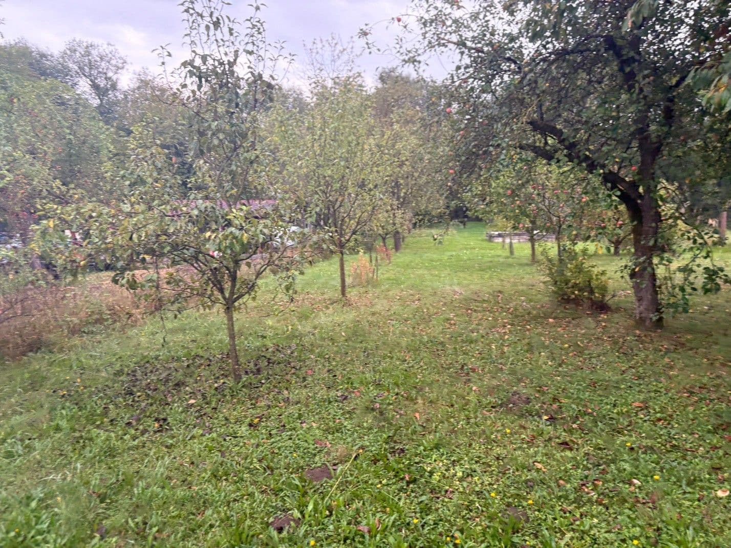 Prodej pozemku 890 m², Hranice, Olomoucký kraj Prodej pozemku 890 m², Hranice, Olomoucký kraj