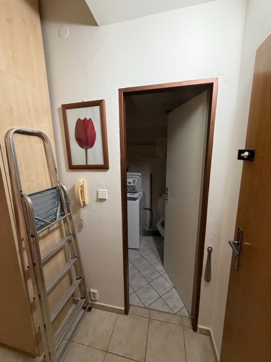 Pronájem bytu 1+kk 32 m², Oblá, Brno, Jihomoravský kraj Pronájem bytu 1+kk 32 m², Oblá, Brno, Jihomoravský kraj