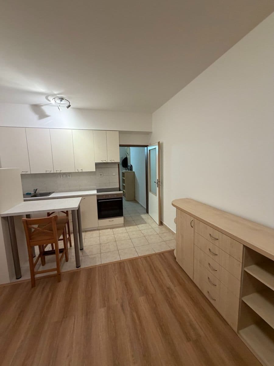 Pronájem bytu 1+kk 32 m², Oblá, Brno, Jihomoravský kraj Pronájem bytu 1+kk 32 m², Oblá, Brno, Jihomoravský kraj