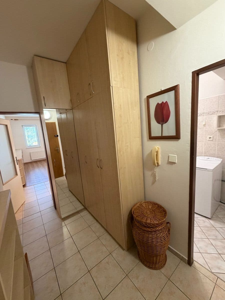 Pronájem bytu 1+kk 32 m², Oblá, Brno, Jihomoravský kraj Pronájem bytu 1+kk 32 m², Oblá, Brno, Jihomoravský kraj