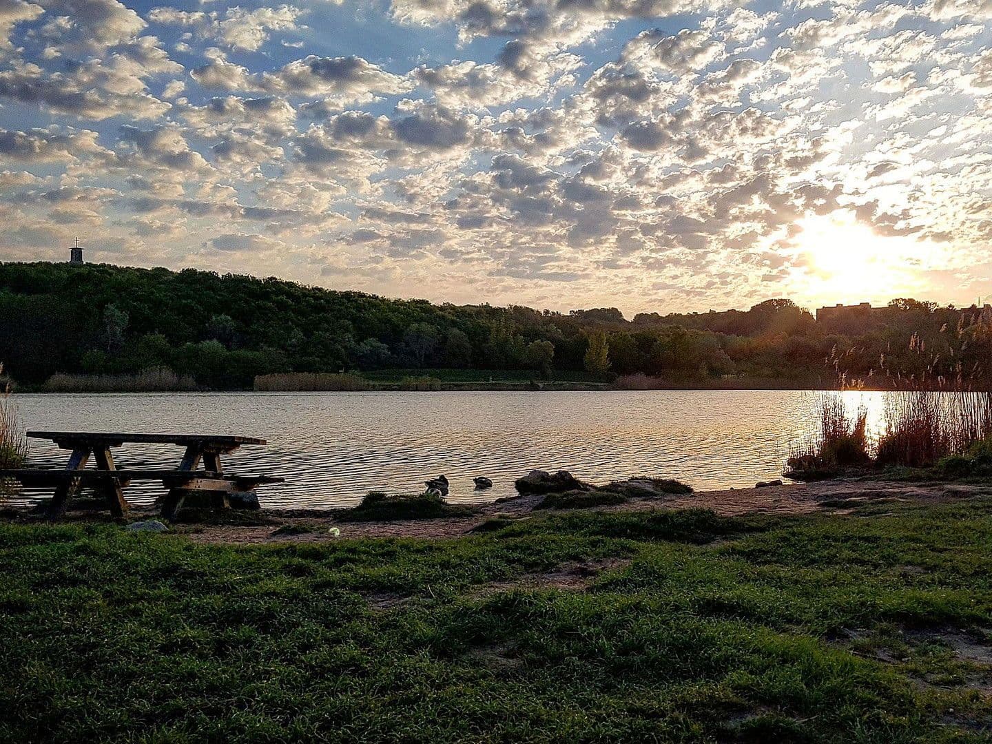 Prodej bytu 3+1 86 m², Carl-Appel-Straße 7, Wien, Wien Prodej bytu 3+1 86 m², Carl-Appel-Straße 7, Wien, Wien