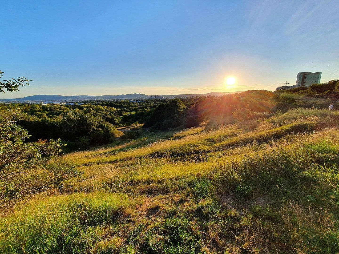 Prodej bytu 3+1 86 m², Carl-Appel-Straße 7, Wien, Wien Prodej bytu 3+1 86 m², Carl-Appel-Straße 7, Wien, Wien