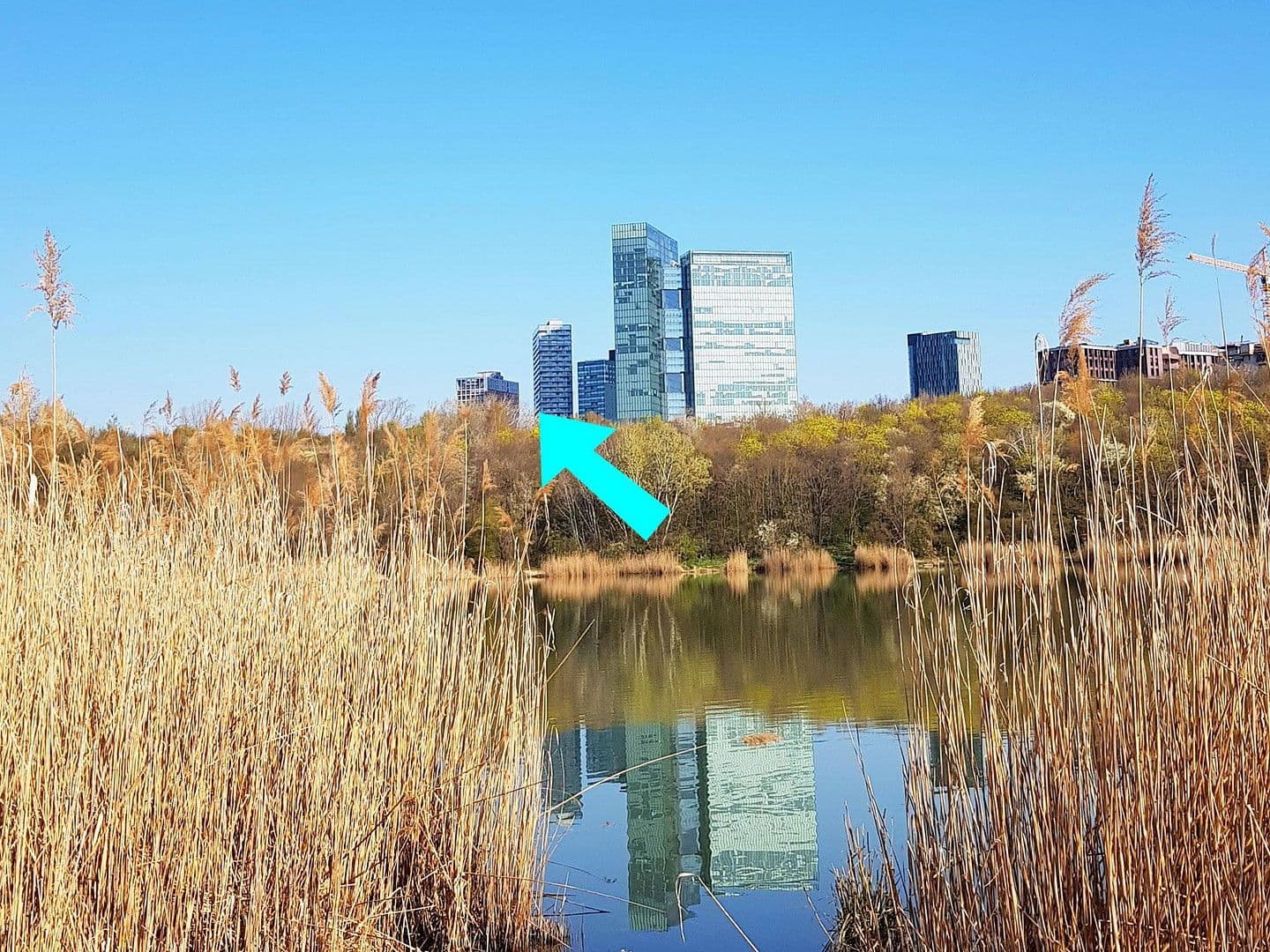 Prodej bytu 3+1 86 m², Carl-Appel-Straße 7, Wien, Wien Prodej bytu 3+1 86 m², Carl-Appel-Straße 7, Wien, Wien