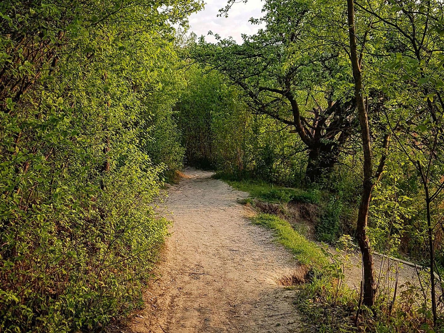 Prodej bytu 3+1 86 m², Carl-Appel-Straße 7, Wien, Wien Prodej bytu 3+1 86 m², Carl-Appel-Straße 7, Wien, Wien