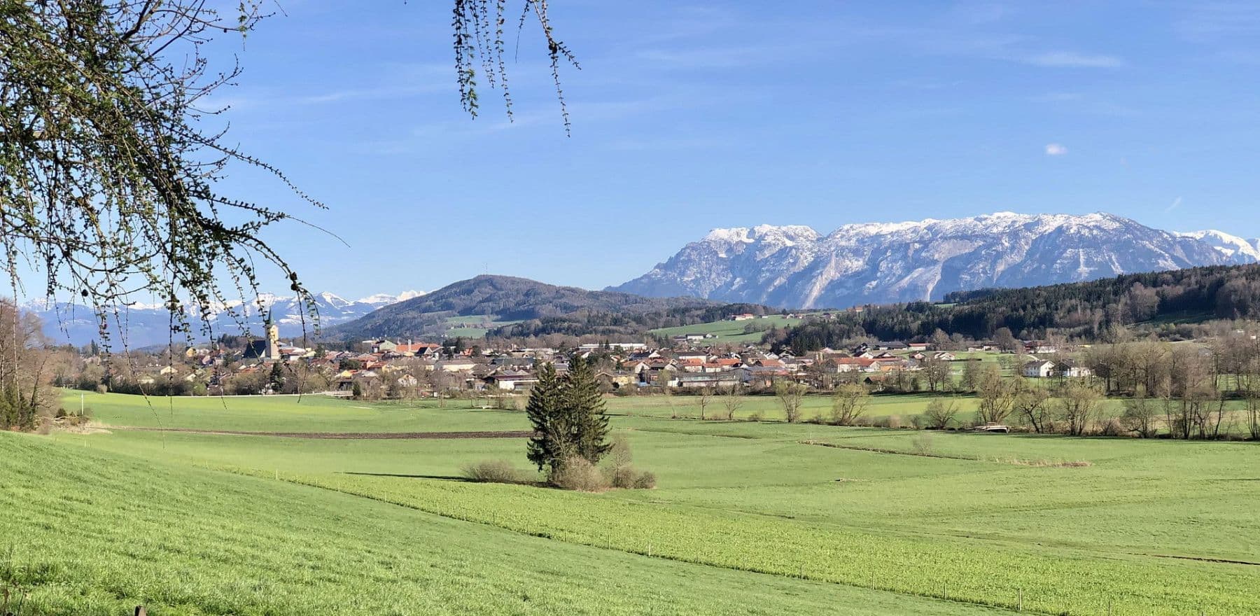 Prodej domu 209 m², pozemek 1.117 m², Frühlingstraße 8, Teisendorf, Bavorsko Prodej domu 209 m², pozemek 1.117 m², Frühlingstraße 8, Teisendorf, Bavorsko