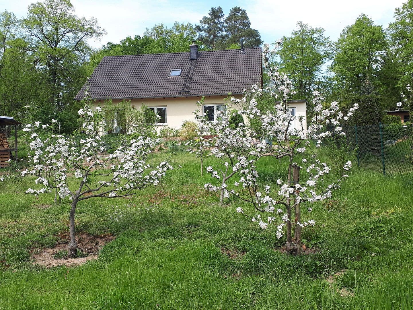 Prodej domu 139 m², pozemek 1.098 m², Mühlenbecker Land, Braniborsko Prodej domu 139 m², pozemek 1.098 m², Mühlenbecker Land, Braniborsko