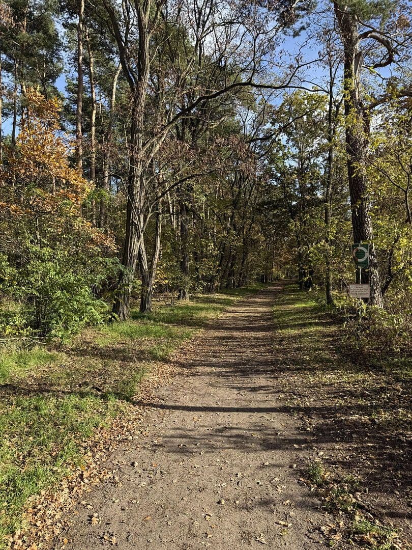 Pronájem bytu 2+1 55 m², Berlin, Berlín Pronájem bytu 2+1 55 m², Berlin, Berlín