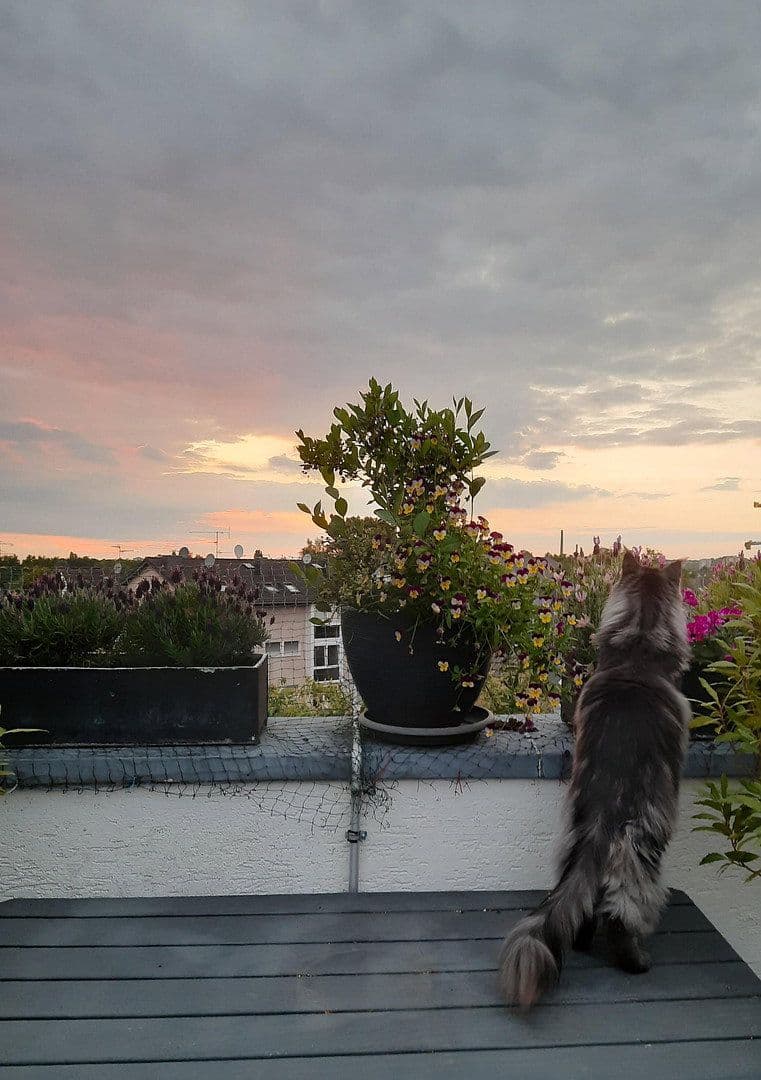 Prodej bytu 7+1 192 m², Bergisch Gladbach, Severní Porýní-Vestfálsko Prodej bytu 7+1 192 m², Bergisch Gladbach, Severní Porýní-Vestfálsko