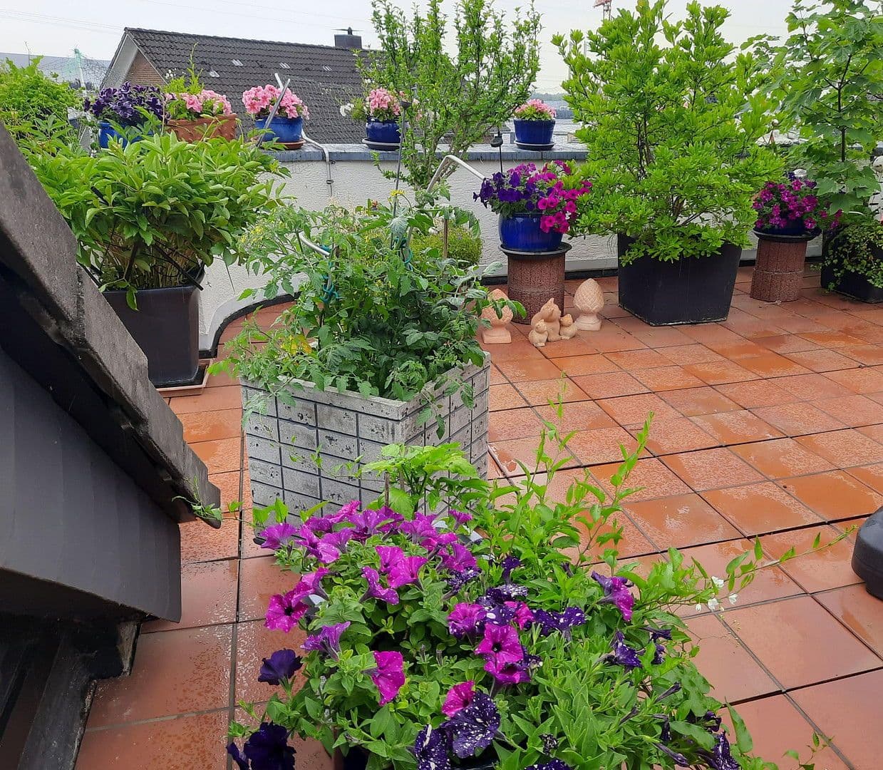 Prodej bytu 7+1 192 m², Bergisch Gladbach, Severní Porýní-Vestfálsko Prodej bytu 7+1 192 m², Bergisch Gladbach, Severní Porýní-Vestfálsko