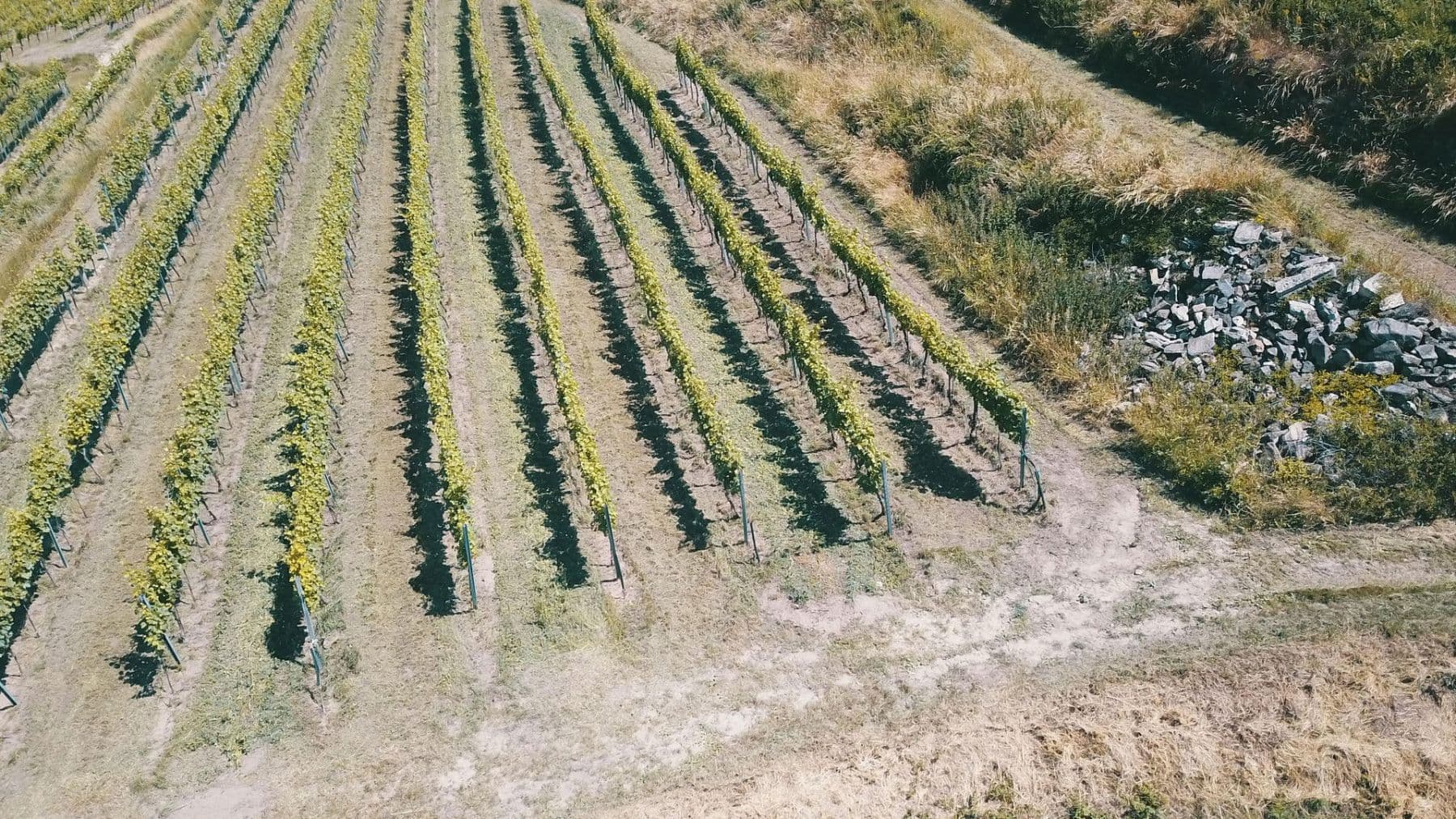 Prodej pozemku 3.596 m², Mitterarnsdorf, Dolní Rakousko Prodej pozemku 3.596 m², Mitterarnsdorf, Dolní Rakousko