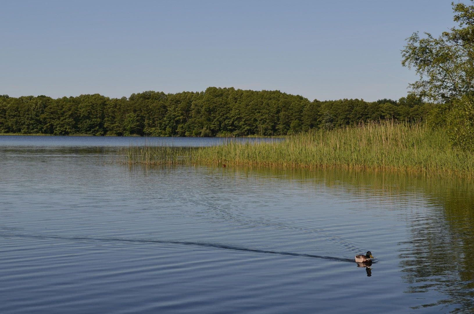 Prodej domu 89 m², pozemek 200 m², Wildgansstraße 71, Mirow, Mecklenburg-Vorpommern Prodej domu 89 m², pozemek 200 m², Wildgansstraße 71, Mirow, Mecklenburg-Vorpommern
