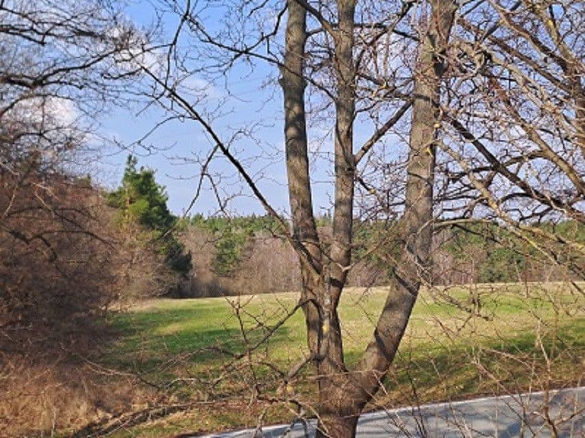Prodej pozemku 980 m², Adamov, Jihočeský kraj Prodej pozemku 980 m², Adamov, Jihočeský kraj