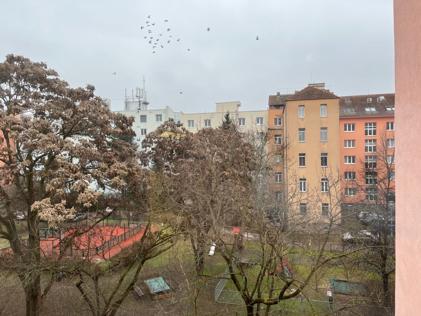 Pronájem bytu 1+1 42 m², Křížkovského, Brno, Jihomoravský kraj Pronájem bytu 1+1 42 m², Křížkovského, Brno, Jihomoravský kraj