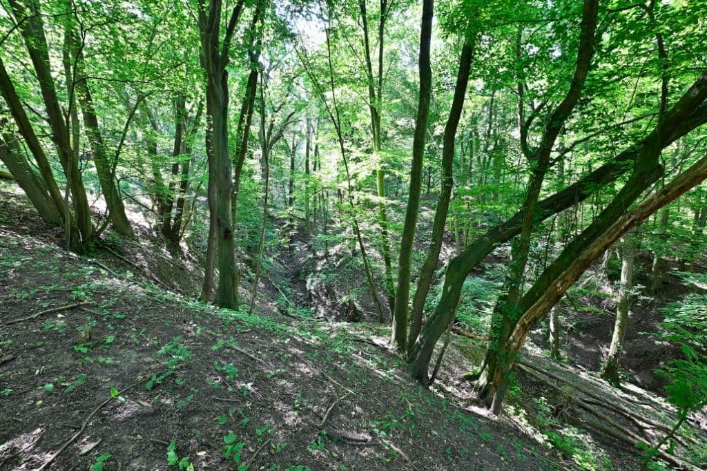 Prodej pozemku 3.400 m², Hřbitovní, Ústí nad Labem, Ústecký kraj Prodej pozemku 3.400 m², Hřbitovní, Ústí nad Labem, Ústecký kraj