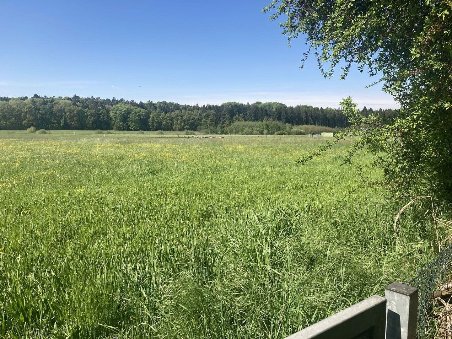 Pronájem domu 213 m², pozemek 1.193 m², Jägersteig 11, Schrobenhausen, Bavorsko Pronájem domu 213 m², pozemek 1.193 m², Jägersteig 11, Schrobenhausen, Bavorsko