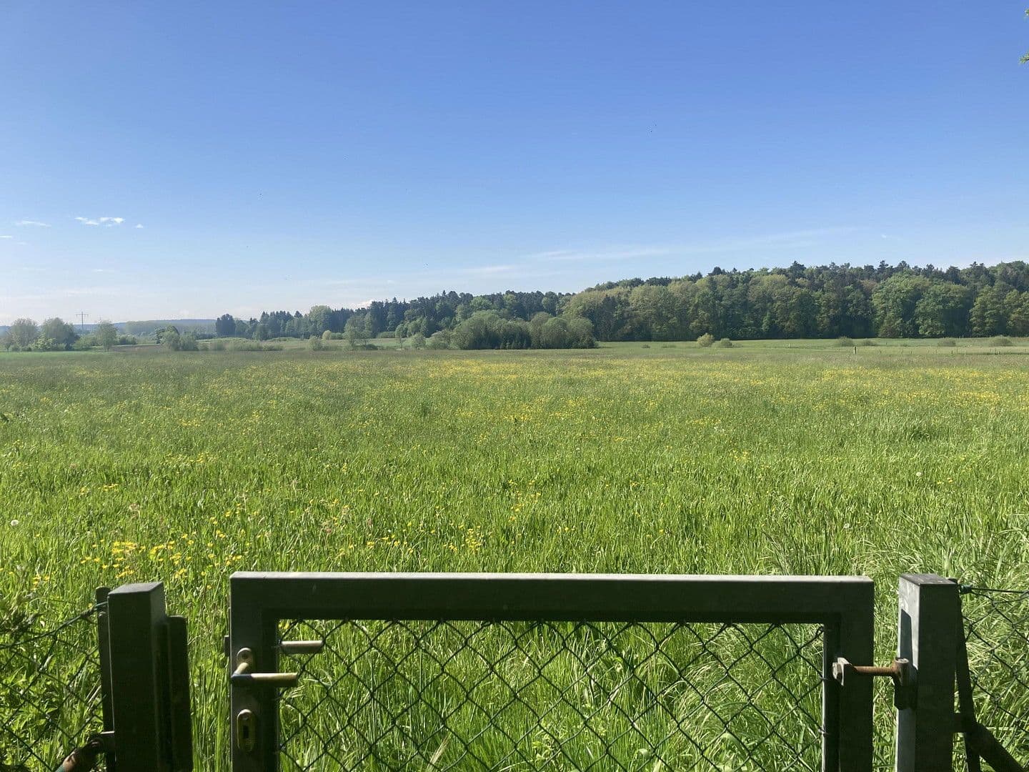 Pronájem domu 213 m², pozemek 1.193 m², Jägersteig 11, Schrobenhausen, Bavorsko Pronájem domu 213 m², pozemek 1.193 m², Jägersteig 11, Schrobenhausen, Bavorsko