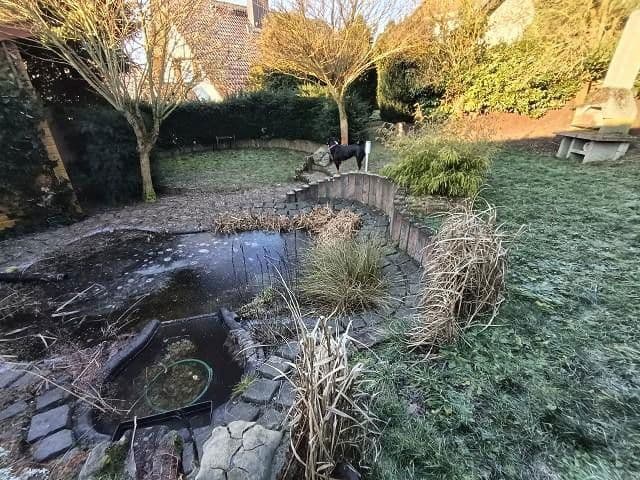 Prodej domu 124 m², pozemek 856 m², Frankenau, Hessen Prodej domu 124 m², pozemek 856 m², Frankenau, Hessen