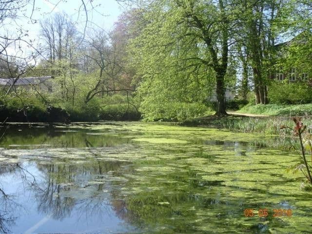 Prodej domu 220 m², pozemek 740 m², Itzehoe, Šlesvicko-Holštýnsko Prodej domu 220 m², pozemek 740 m², Itzehoe, Šlesvicko-Holštýnsko