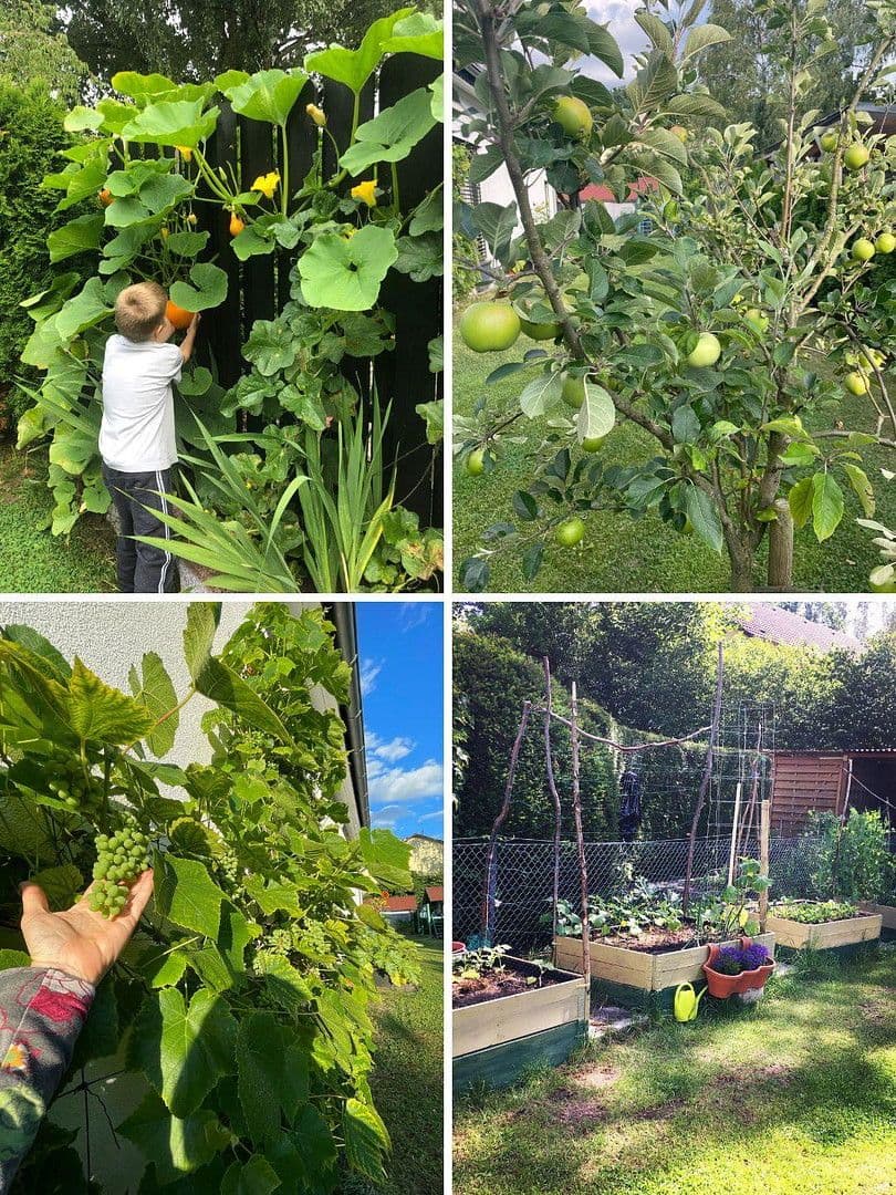 Prodej domu 141 m², pozemek 711 m², Bielefeld, Severní Porýní-Vestfálsko Prodej domu 141 m², pozemek 711 m², Bielefeld, Severní Porýní-Vestfálsko