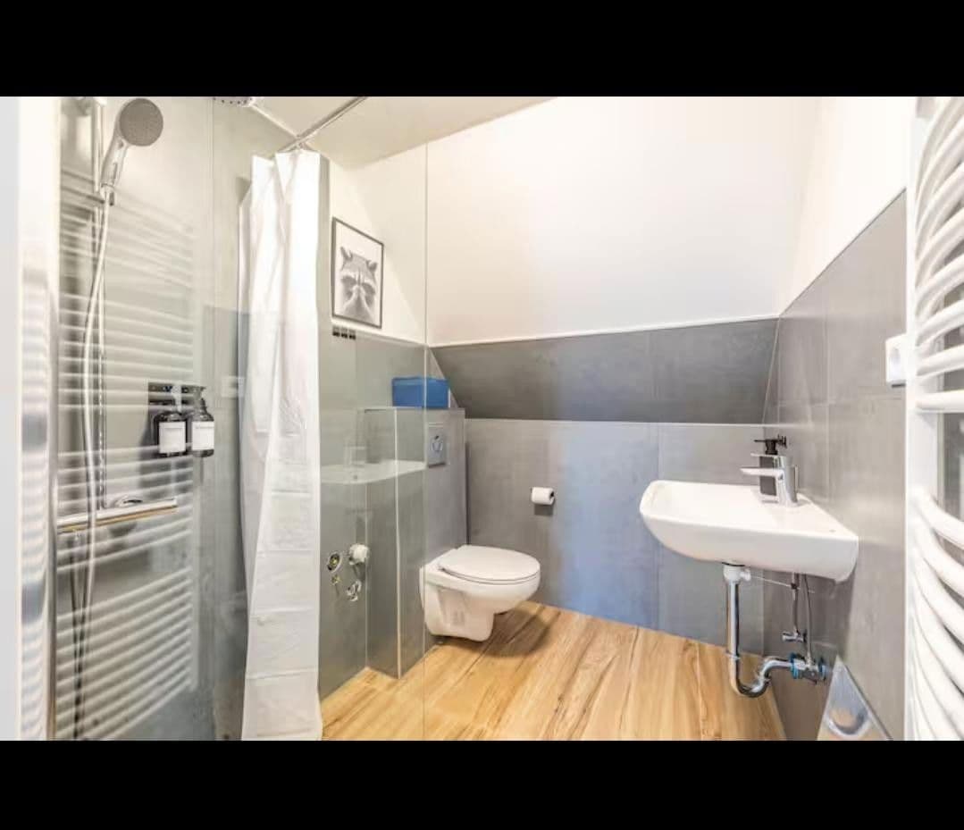 Prodej domu 370 m², pozemek 800 m², Braunlage, Dolní Sasko Prodej domu 370 m², pozemek 800 m², Braunlage, Dolní Sasko