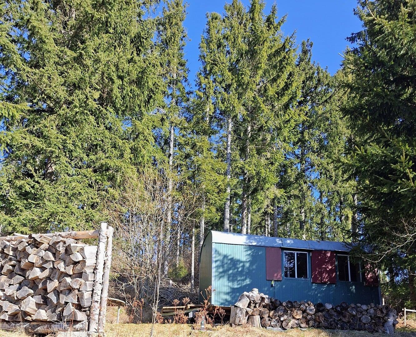 Prodej domu 240 m², pozemek 1.525 m², Furtwangen im Schwarzwald, Bádensko-Württembersko Prodej domu 240 m², pozemek 1.525 m², Furtwangen im Schwarzwald, Bádensko-Württembersko