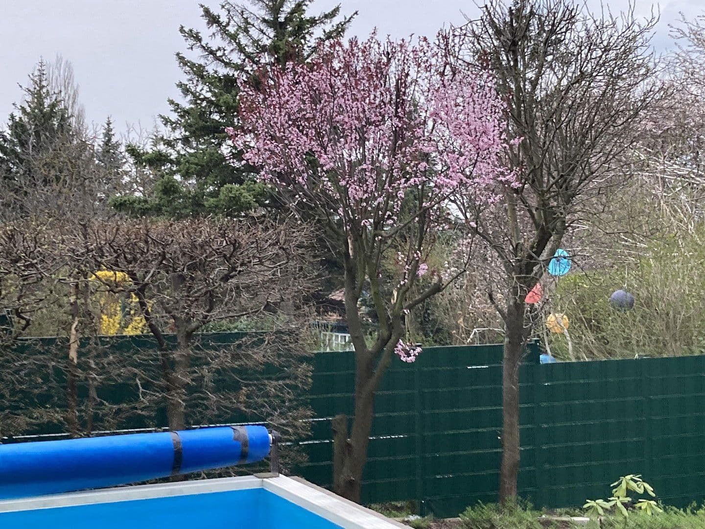 Prodej domu 129 m², pozemek 548 m², Wien, Wien Prodej domu 129 m², pozemek 548 m², Wien, Wien