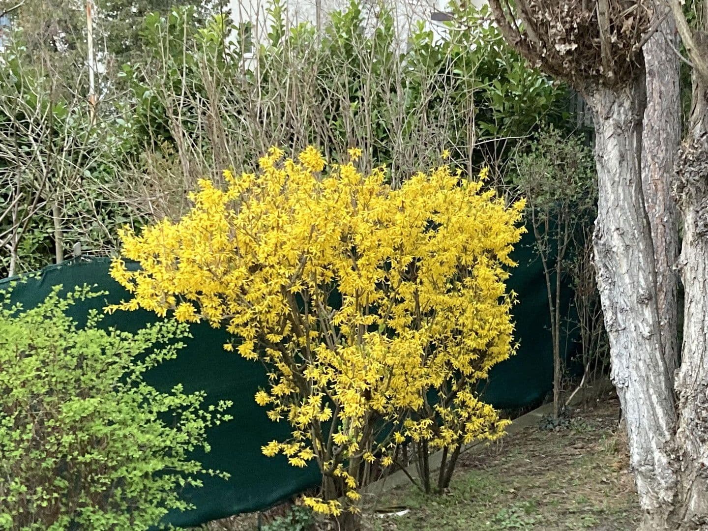 Prodej domu 129 m², pozemek 548 m², Wien, Wien Prodej domu 129 m², pozemek 548 m², Wien, Wien