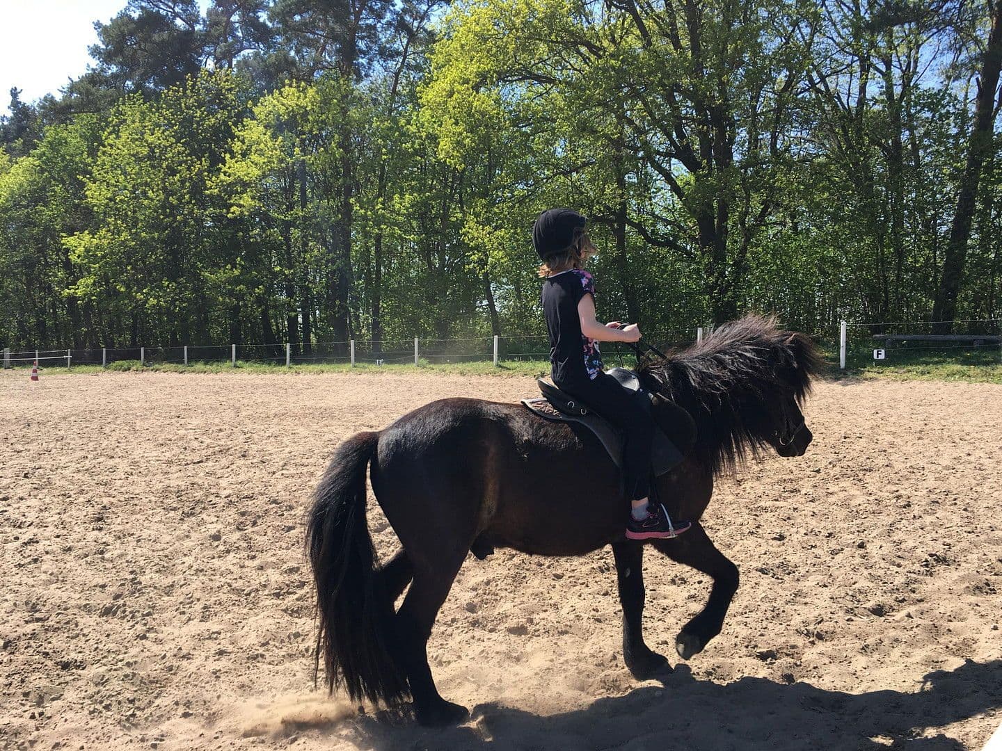Prodej domu 91 m², pozemek 1.175 m², Zur Lenzer Höh 6, Haus 13, Fünfseen, Mecklenburg-Vorpommern Prodej domu 91 m², pozemek 1.175 m², Zur Lenzer Höh 6, Haus 13, Fünfseen, Mecklenburg-Vorpommern