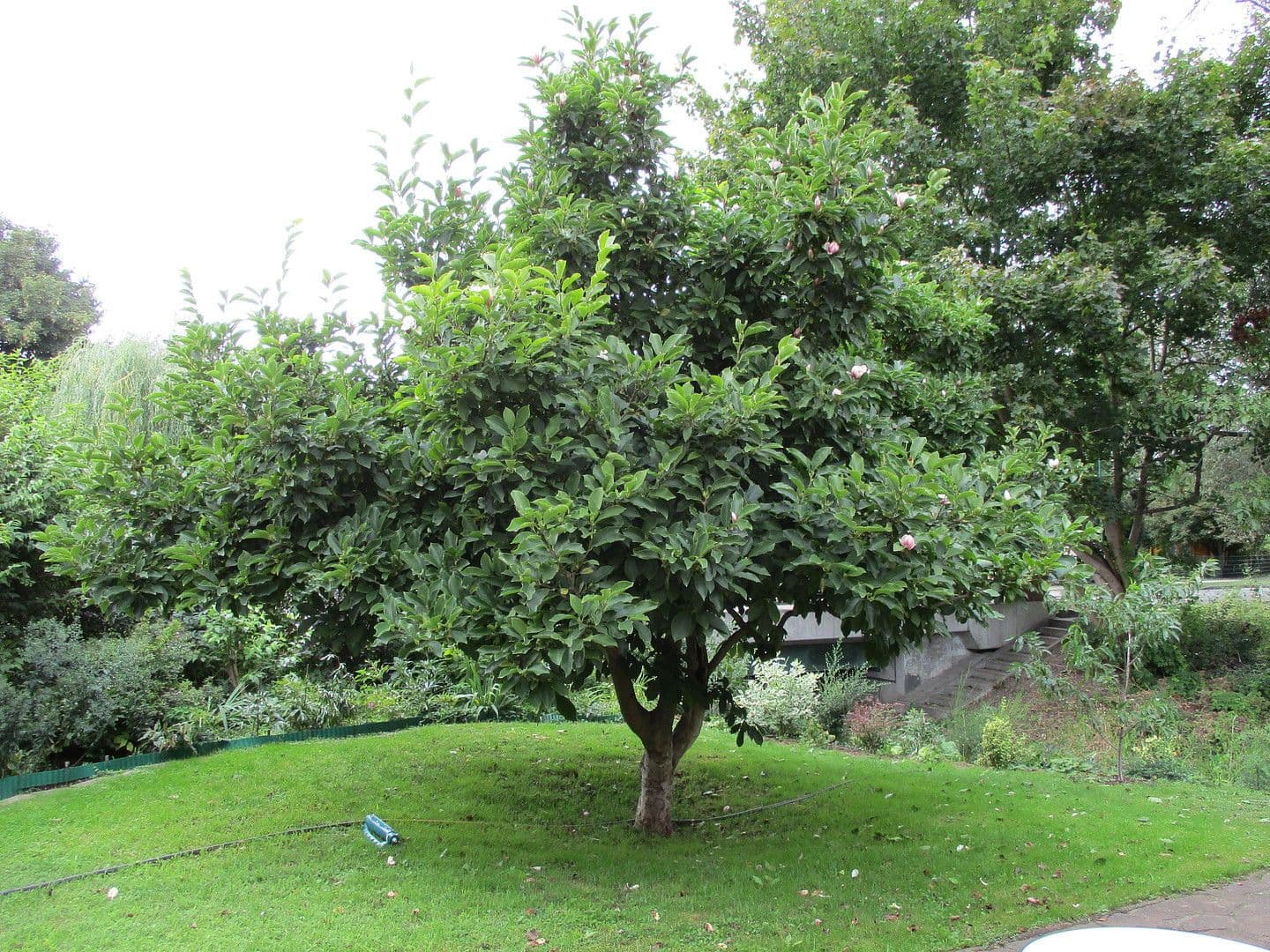 Prodej pozemku 977 m², Panketal, Braniborsko Prodej pozemku 977 m², Panketal, Braniborsko