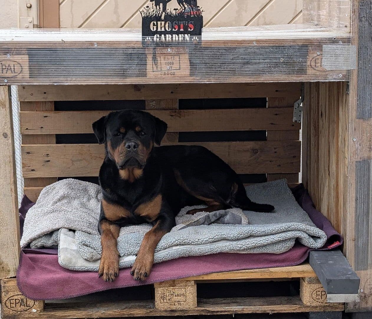 Pronájem bytu 3+1 92 m², Kallstadt, Porýní-Falc Pronájem bytu 3+1 92 m², Kallstadt, Porýní-Falc