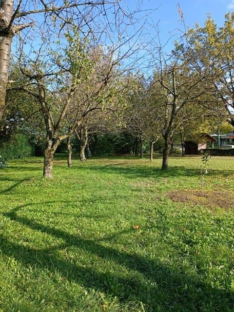 Prodej bytu 4+1 92 m², Kreuzlingerstrasse 18, Friedrichshafen, Bádensko-Württembersko Prodej bytu 4+1 92 m², Kreuzlingerstrasse 18, Friedrichshafen, Bádensko-Württembersko