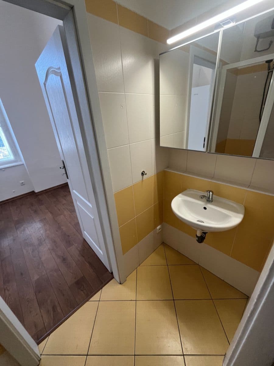 Pronájem bytu 1+1 43 m², třída Kpt. Jaroše, Brno, Jihomoravský kraj Pronájem bytu 1+1 43 m², třída Kpt. Jaroše, Brno, Jihomoravský kraj