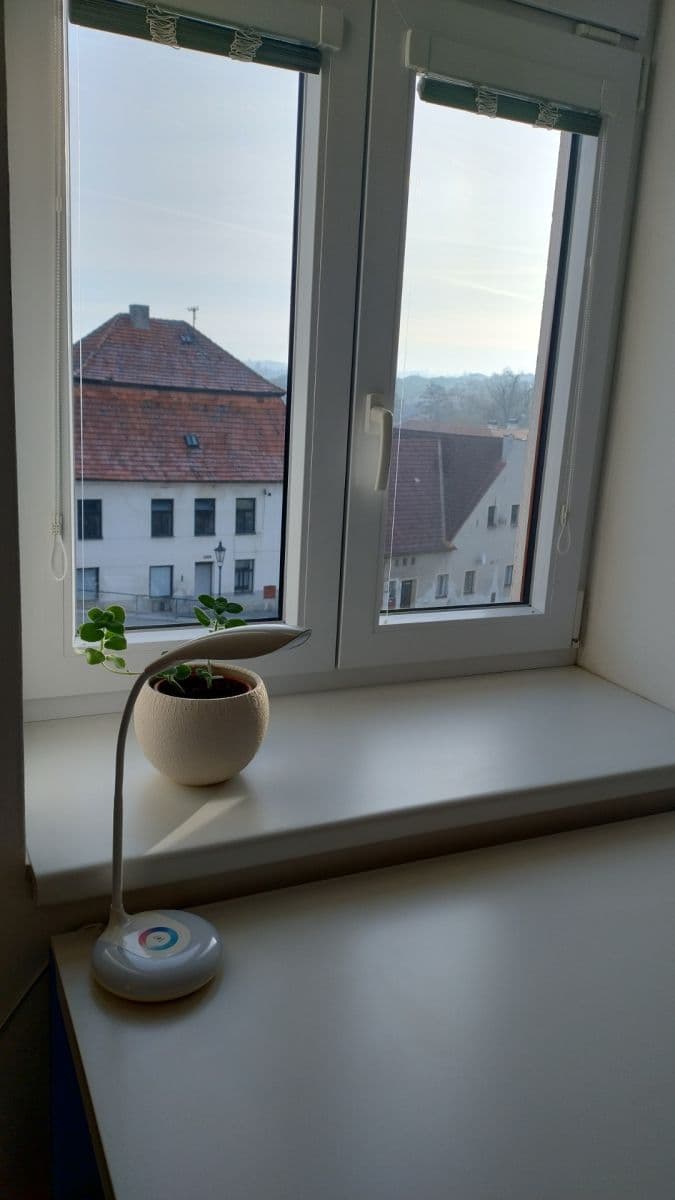 Prodej bytu 3+kk 110 m², Palackého náměstí, Vlašim, Středočeský kraj Prodej bytu 3+kk 110 m², Palackého náměstí, Vlašim, Středočeský kraj