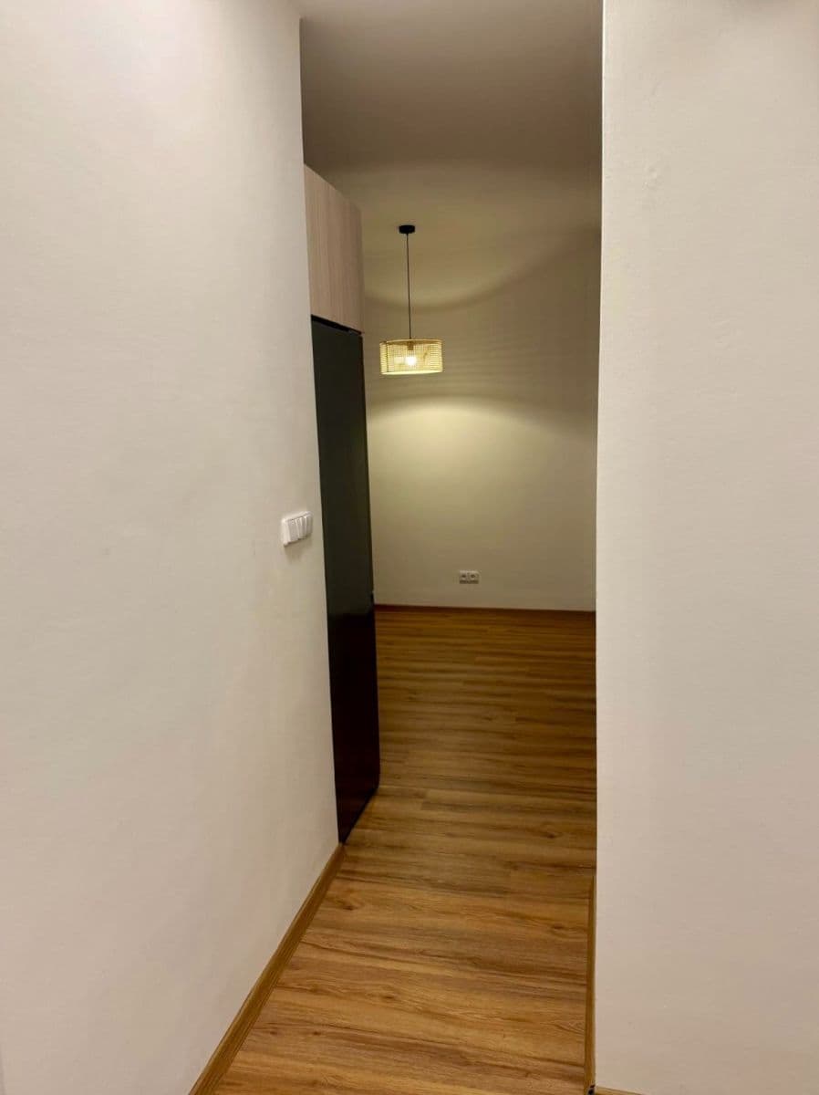 Pronájem bytu 3+kk 70 m², V Olšinách, Praha, Praha Pronájem bytu 3+kk 70 m², V Olšinách, Praha, Praha
