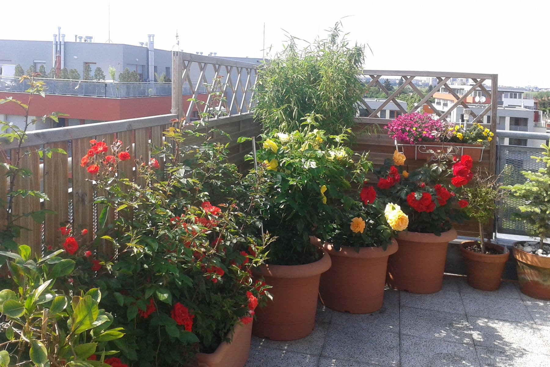 Prodej bytu 4+kk 113 m², Pečárková, Praha, Praha Prodej bytu 4+kk 113 m², Pečárková, Praha, Praha