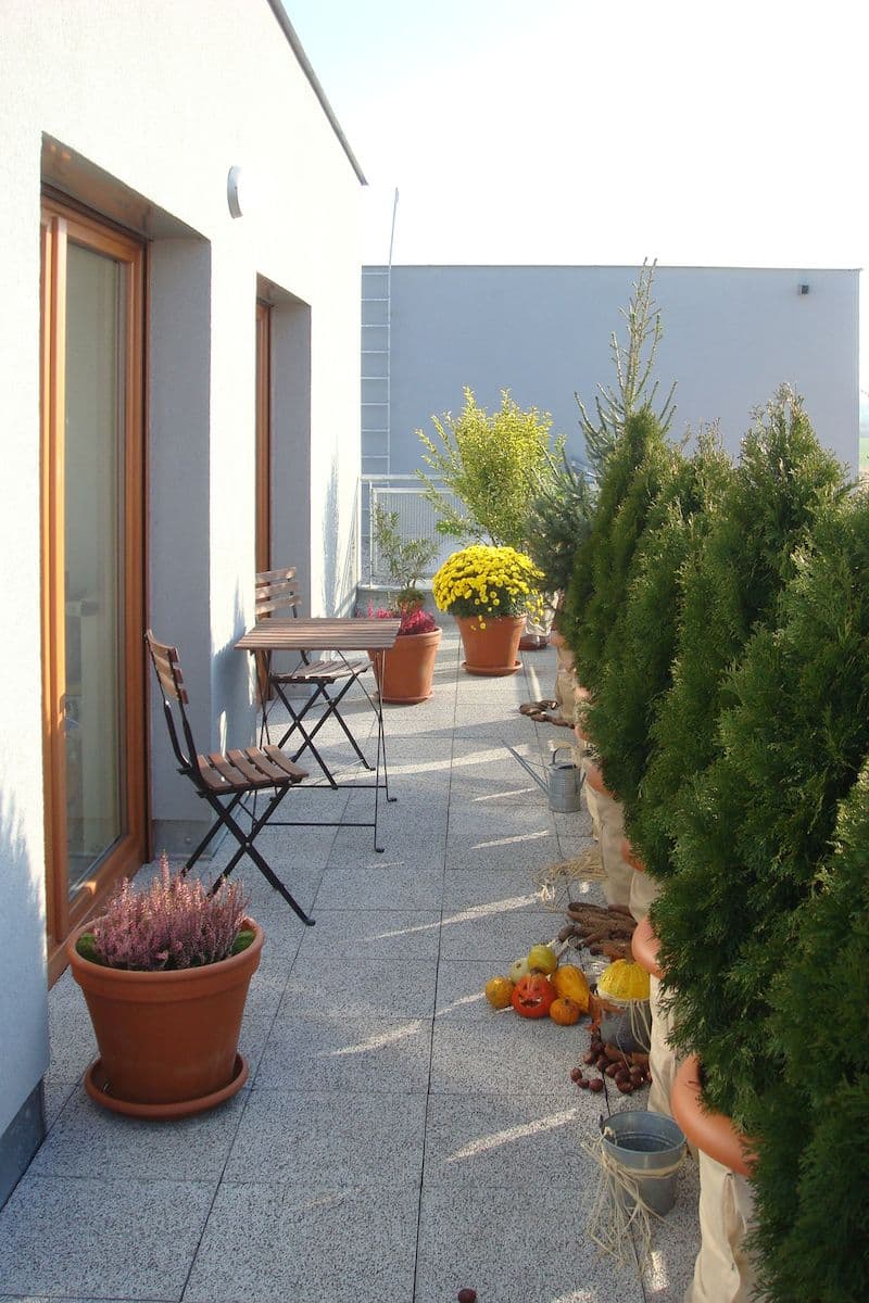 Prodej bytu 4+kk 113 m², Pečárková, Praha, Praha Prodej bytu 4+kk 113 m², Pečárková, Praha, Praha