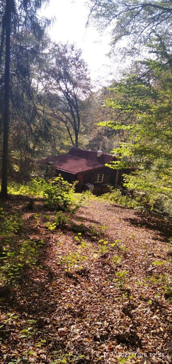 Prodej chaty, chalupy 42 m², pozemek 42 m², Obec, Kaliště, Středočeský kraj Prodej chaty, chalupy 42 m², pozemek 42 m², Obec, Kaliště, Středočeský kraj