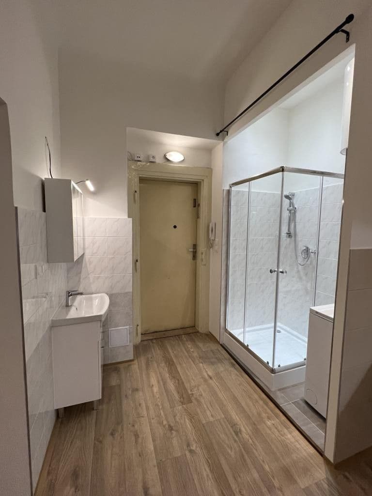 Pronájem bytu 1+1 39 m², Mánesova, Praha, Praha Pronájem bytu 1+1 39 m², Mánesova, Praha, Praha