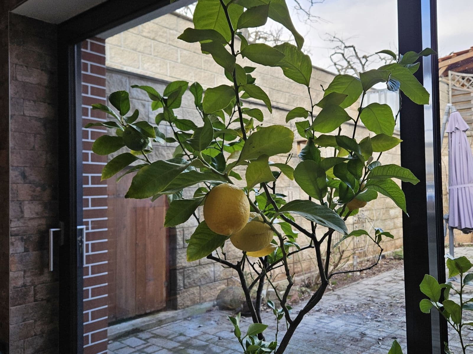 Prodej domu 149 m², pozemek 1.110 m², Podlešín, Středočeský kraj Prodej domu 149 m², pozemek 1.110 m², Podlešín, Středočeský kraj