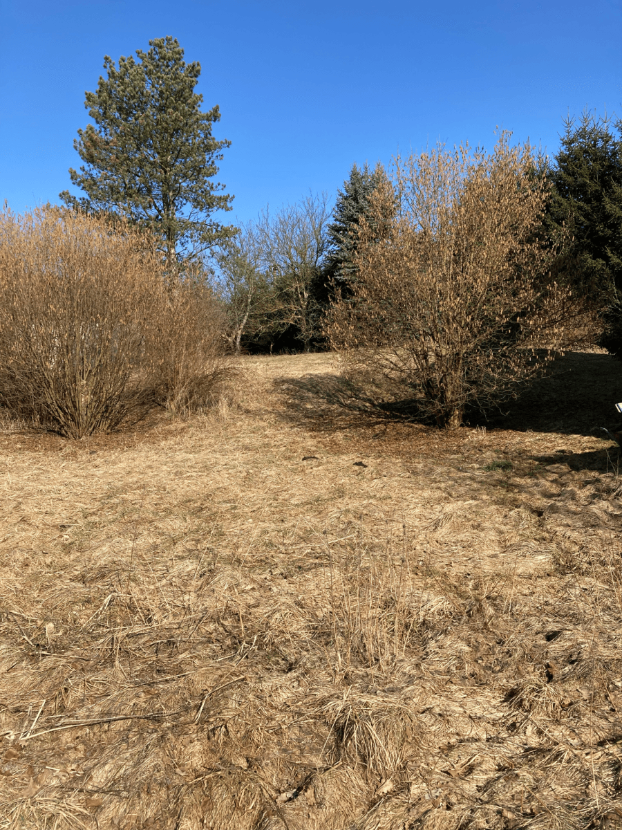 Prodej domu 241 m², pozemek 2.752 m², Meziměstí, Královéhradecký kraj Prodej domu 241 m², pozemek 2.752 m², Meziměstí, Královéhradecký kraj