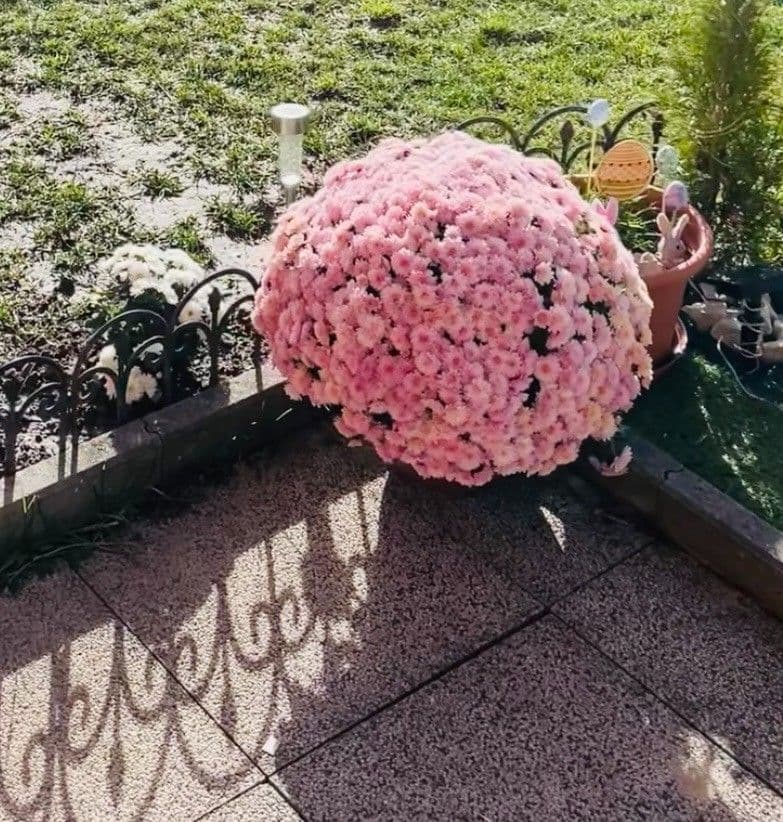 Prodej bytu 2+kk 59 m², Sazovická, Praha, Praha Prodej bytu 2+kk 59 m², Sazovická, Praha, Praha