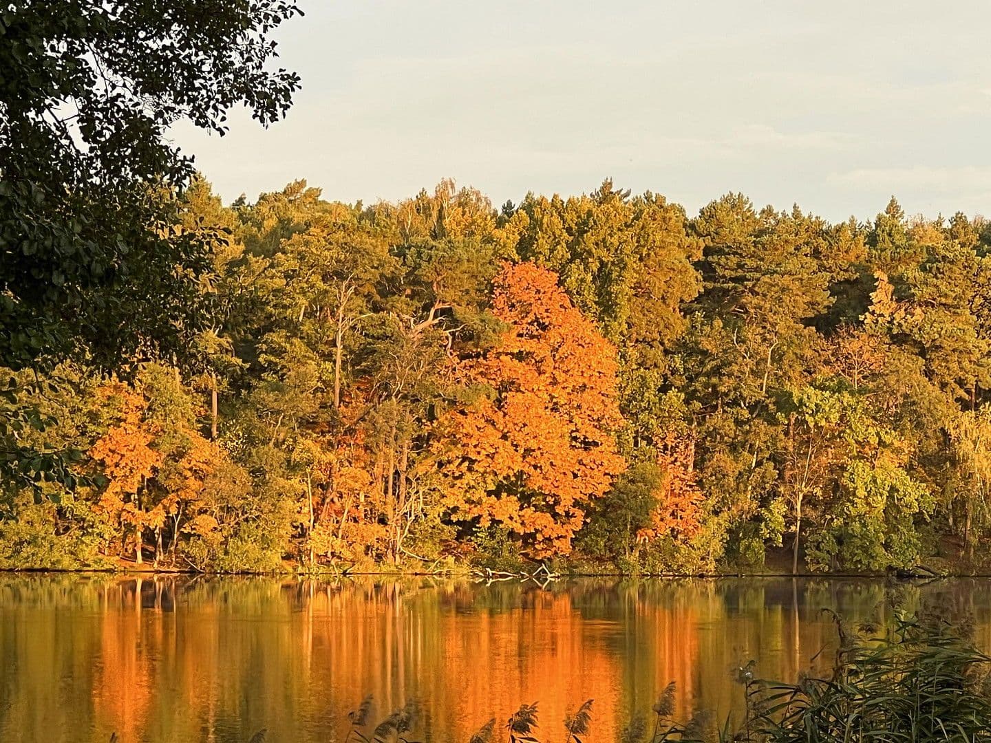 Prodej domu 224 m², pozemek 1.016 m², Königs Wusterhausen, Braniborsko Prodej domu 224 m², pozemek 1.016 m², Königs Wusterhausen, Braniborsko