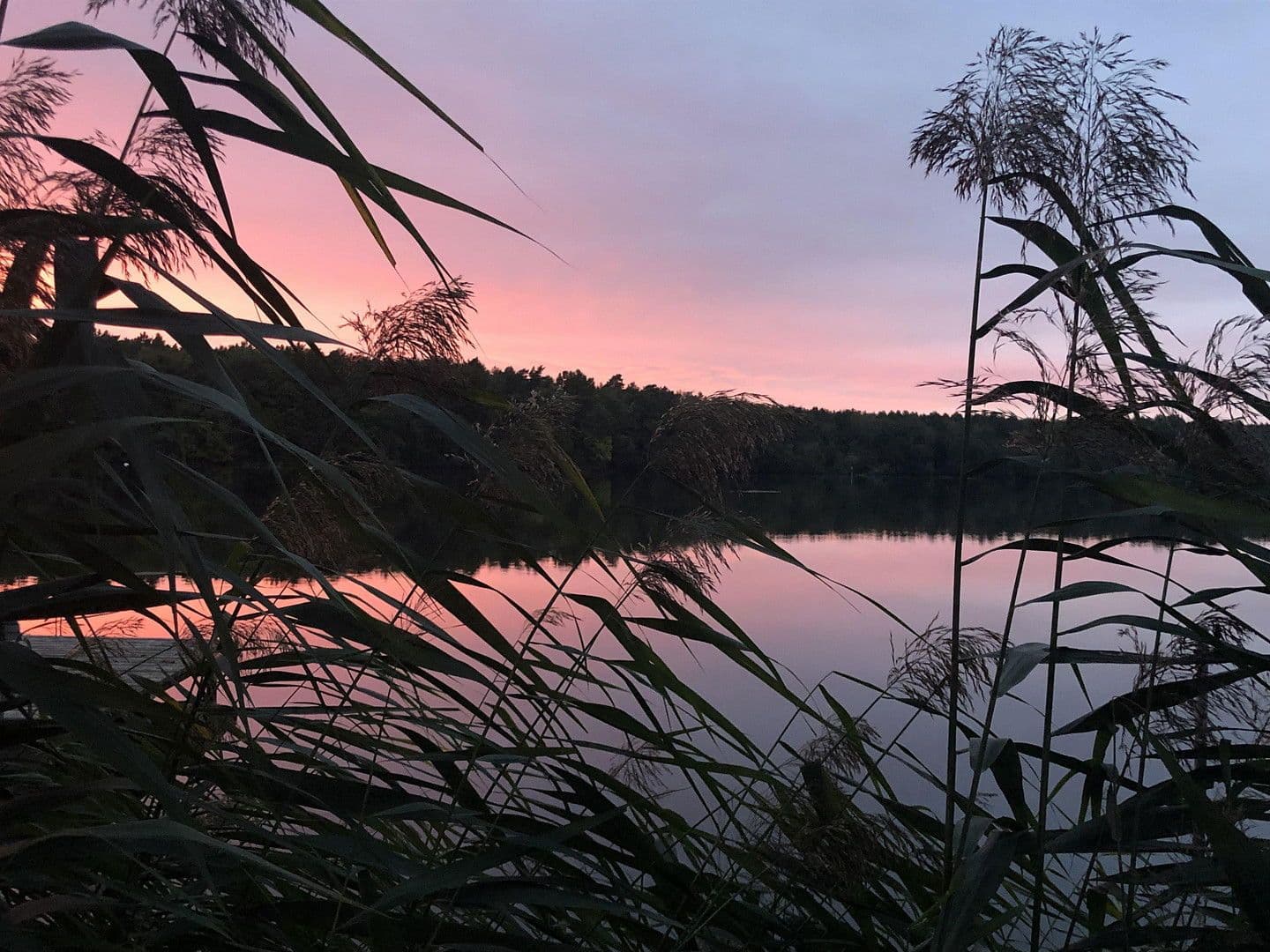 Prodej domu 224 m², pozemek 1.016 m², Königs Wusterhausen, Braniborsko Prodej domu 224 m², pozemek 1.016 m², Königs Wusterhausen, Braniborsko