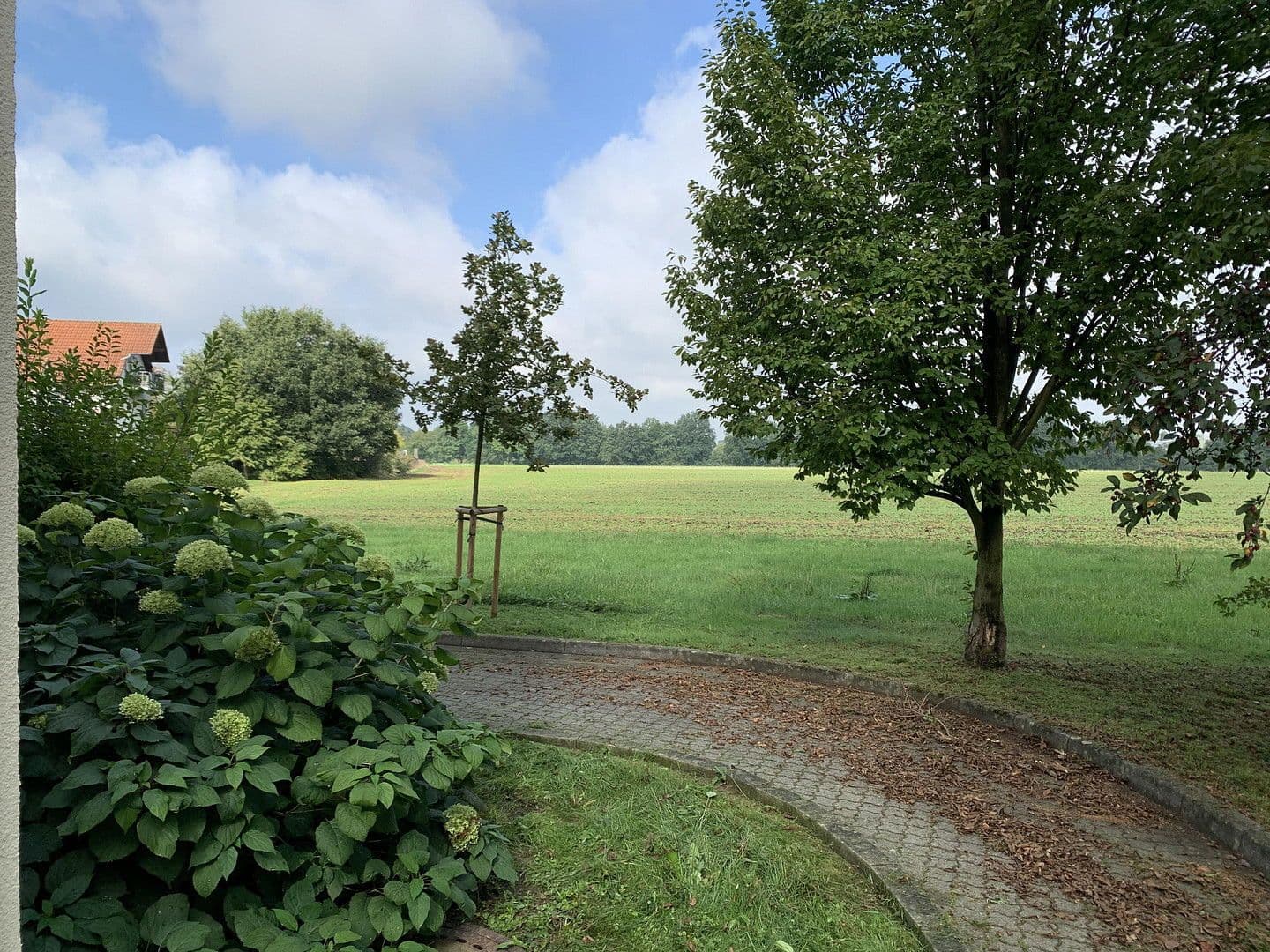 Pronájem bytu 1+kk 39 m², Johann-Joachim-Kaendler Str. 14, Arnsdorf, Sasko Pronájem bytu 1+kk 39 m², Johann-Joachim-Kaendler Str. 14, Arnsdorf, Sasko