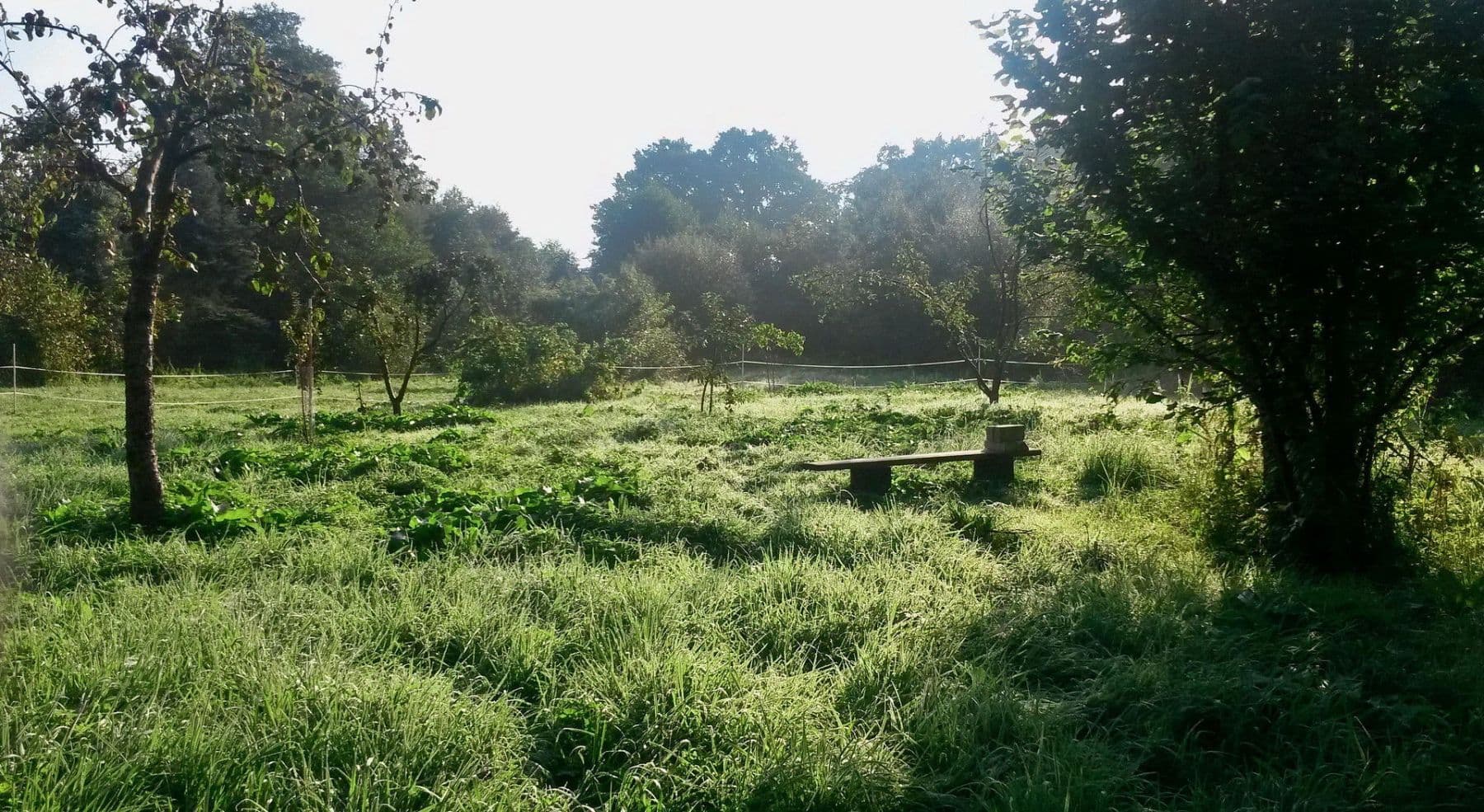 Prodej pozemku 4.340 m², Biesenthal, Braniborsko Prodej pozemku 4.340 m², Biesenthal, Braniborsko