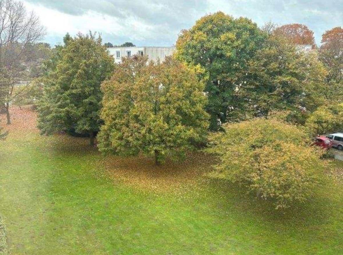 Pronájem bytu 4+1 88 m², Tegeler Plate 15, Bremen, Bremen Pronájem bytu 4+1 88 m², Tegeler Plate 15, Bremen, Bremen