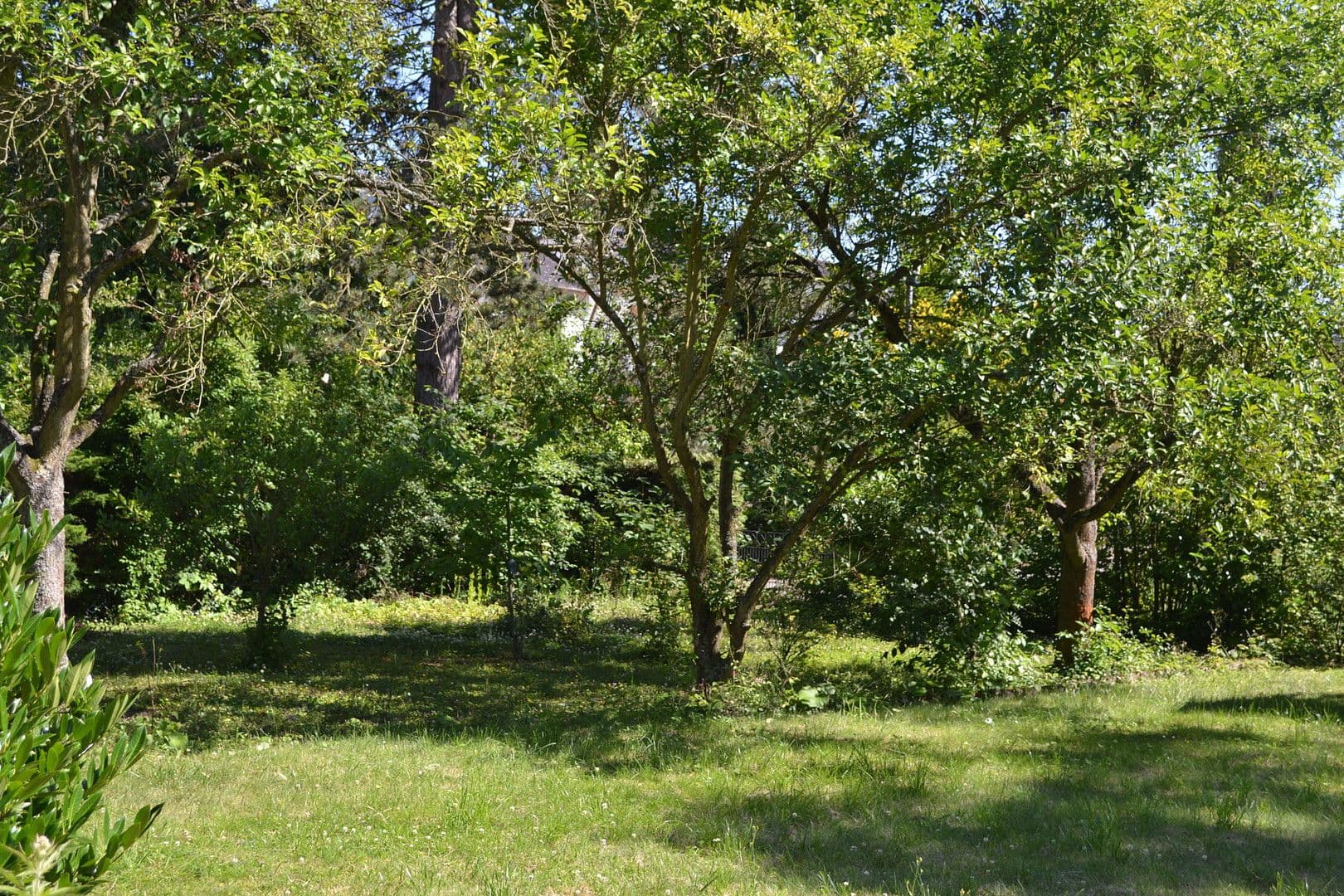 Pronájem bytu 5+1 140 m², Eschenweg, Koblenz, Porýní-Falc Pronájem bytu 5+1 140 m², Eschenweg, Koblenz, Porýní-Falc