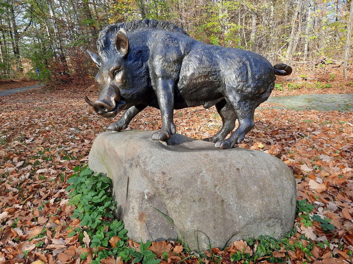 Prodej domu 1.330 m², pozemek 42.907 m², Bad Harzburg, Dolní Sasko Prodej domu 1.330 m², pozemek 42.907 m², Bad Harzburg, Dolní Sasko